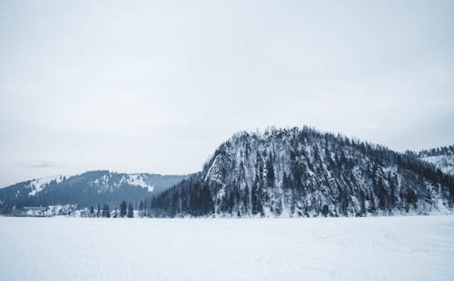 Ingyenes stockfotó fák, festői, havas hegyek témában