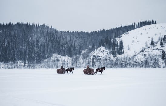 Horses pulling sled with hay bales across snow-covered frozen lake in Russian winter landscape.
