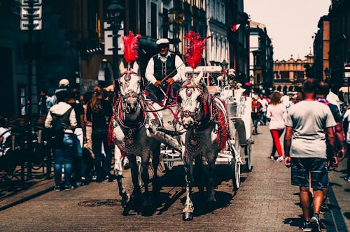 Un Homme Monté Sur Un Chariot