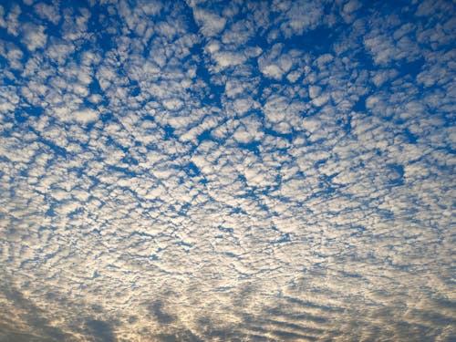 Imagine de stoc gratuită din altocumulus, cer, cer nor