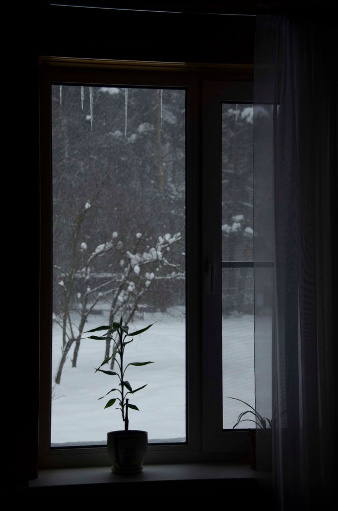 Winter Inside Photos, Download The BEST Free Winter Inside Stock Photos ...