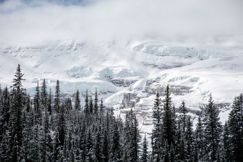 Free Breathtaking view of snow-covered Canadian Rockies and dense pine forest in winter. Stock Photo