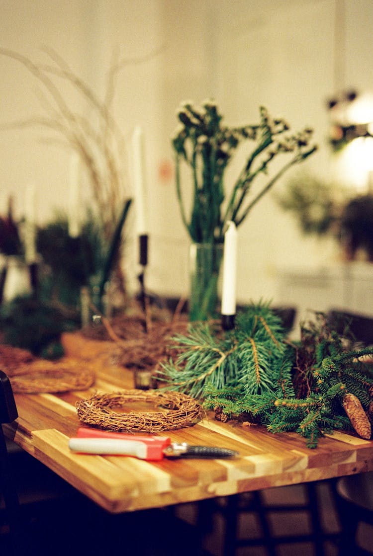 Scissors And Evergreen Leaves On Table