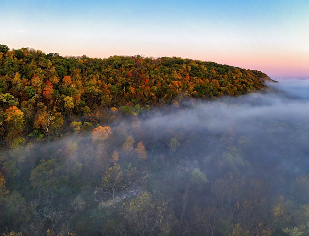 Free Aerial Photography of Brown Trees during Autumn Season Stock Photo