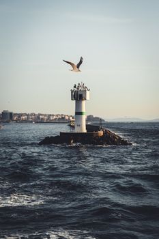A seagull soars above a lighthouse on a rocky islet in the ocean, viewed from a distance at sunrise.