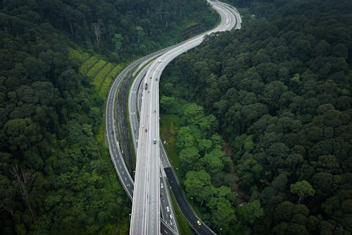 Gratis stockfoto met auto's, bomen, dronefoto