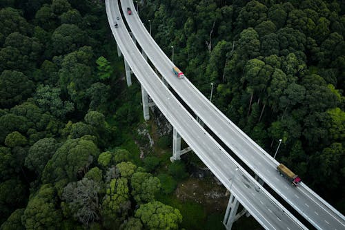 Fotos de stock gratuitas de arboles, automóviles, carreteras