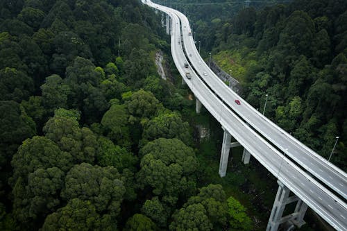 Kostenloses Stock Foto zu autos, bäume, drohne erschossen