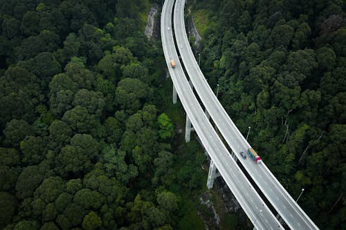 Fotos de stock gratuitas de arboles, automóviles, autopista