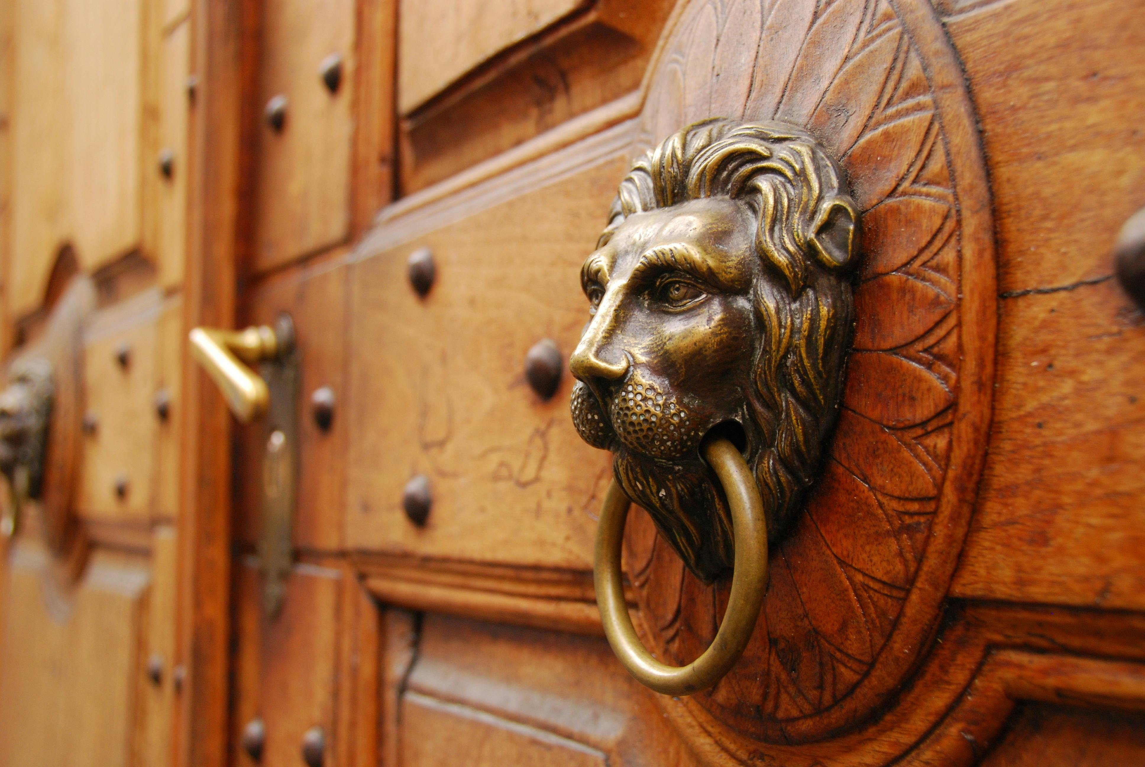 selective focus of a metal lion door knocker