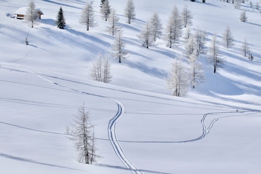 A picturesque snowy landscape with ski tracks and sparse trees in Trentino, Italy.