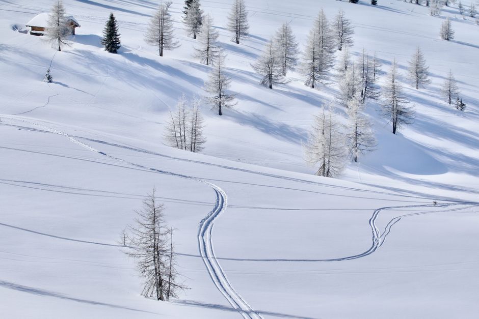 A picturesque snowy landscape with ski tracks and sparse trees in Trentino, Italy.
