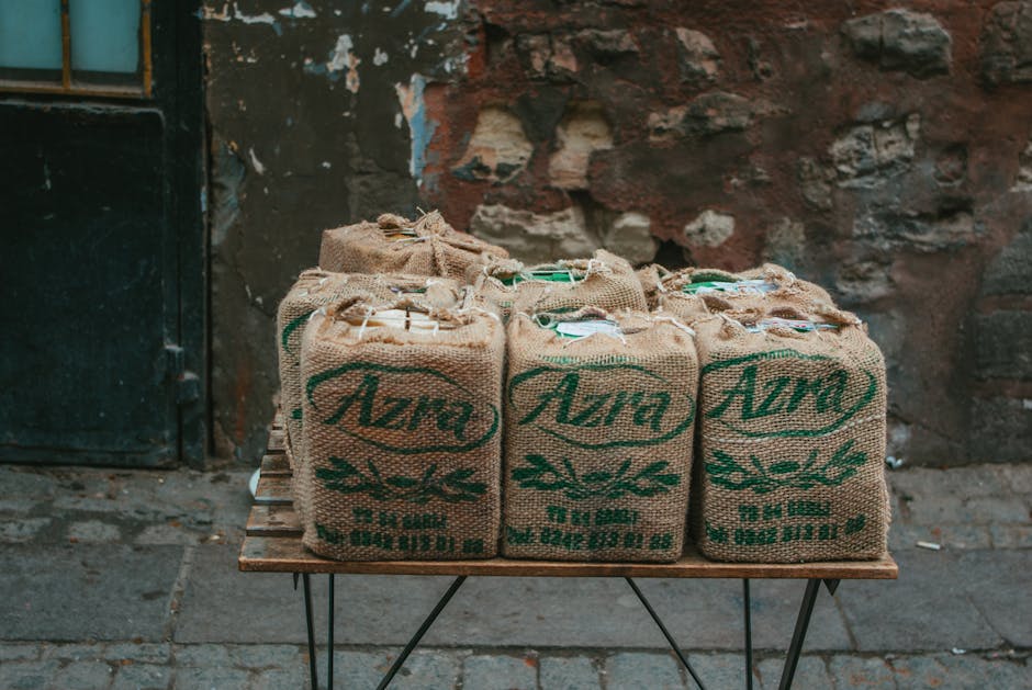 Business owner using reusable trade show display in modern office setting