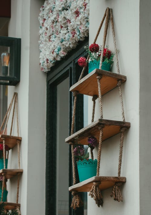 Foto profissional grátis de estantes, flores, muro