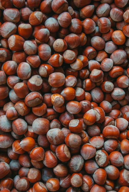 Brown Round Nut on Blue Textile