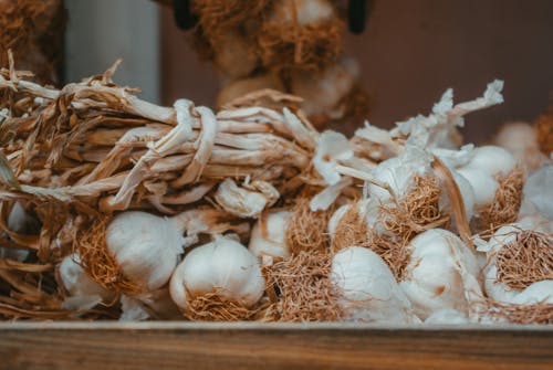 A Bunch of Garlic Heads in Close-up Shot