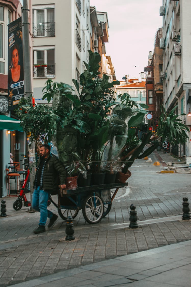 Man Towing Plants On Cart