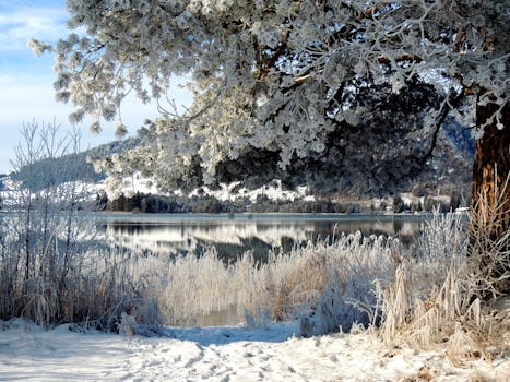 Snowy Walchsee in Tirol, Austria, with frosty trees and a calm lake view.