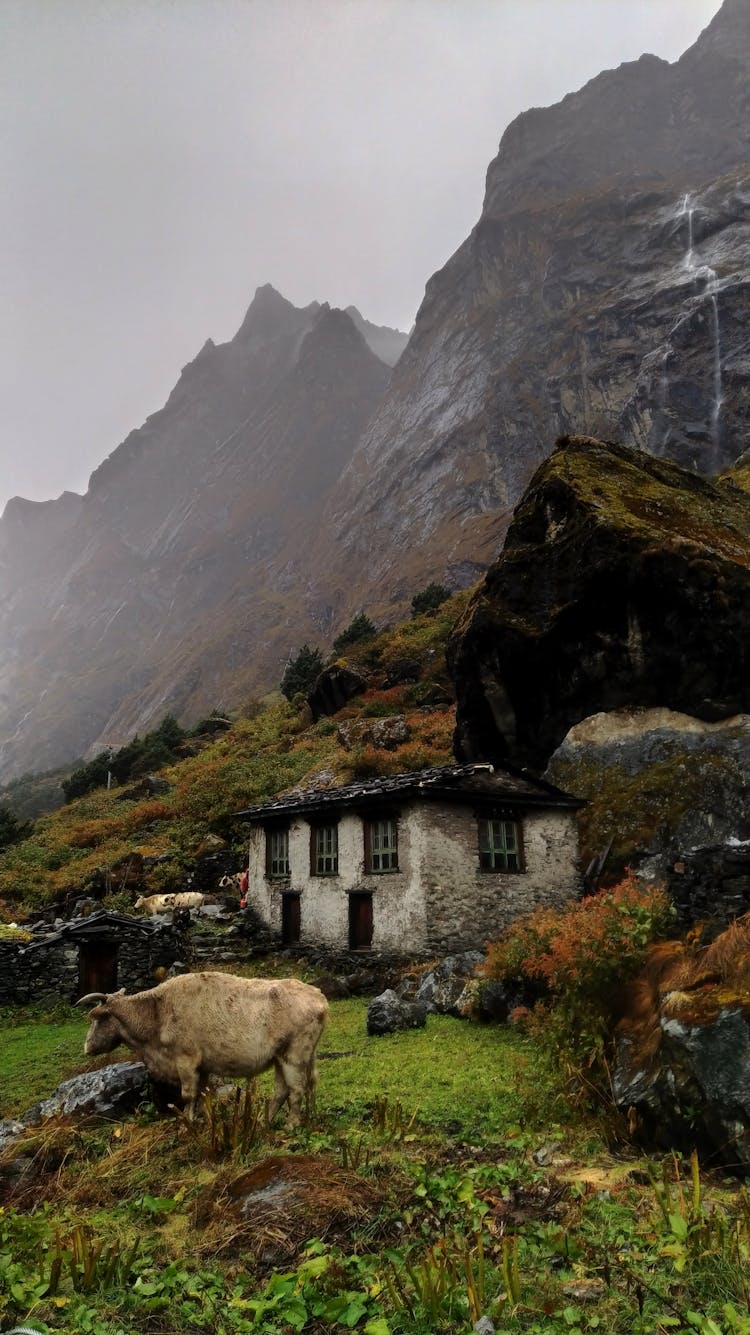 Farm In Mountains