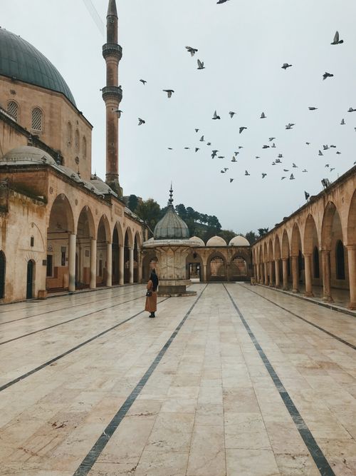 Free A serene courtyard of a historic mosque with soaring pigeons in Sanliurfa, Turkey. Stock Photo