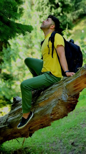 Contemplative man in casual attire sitting on a tree log in a lush green forest, looking upwards. - travel handbag selection Pakistan