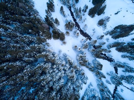 A stunning aerial view of snow-covered trees in Tschiertschen, Switzerland, during winter.