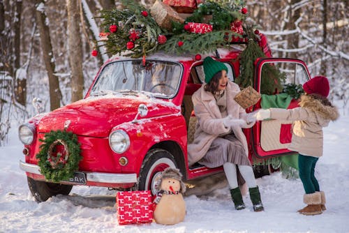 Foto profissional grátis de abrigo, árvore de Natal, automóvel