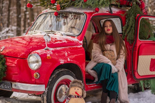 Ilmainen kuvapankkikuva tunnisteilla auto, joulukuusi, lämpimät vaatteet Kuvapankkikuva