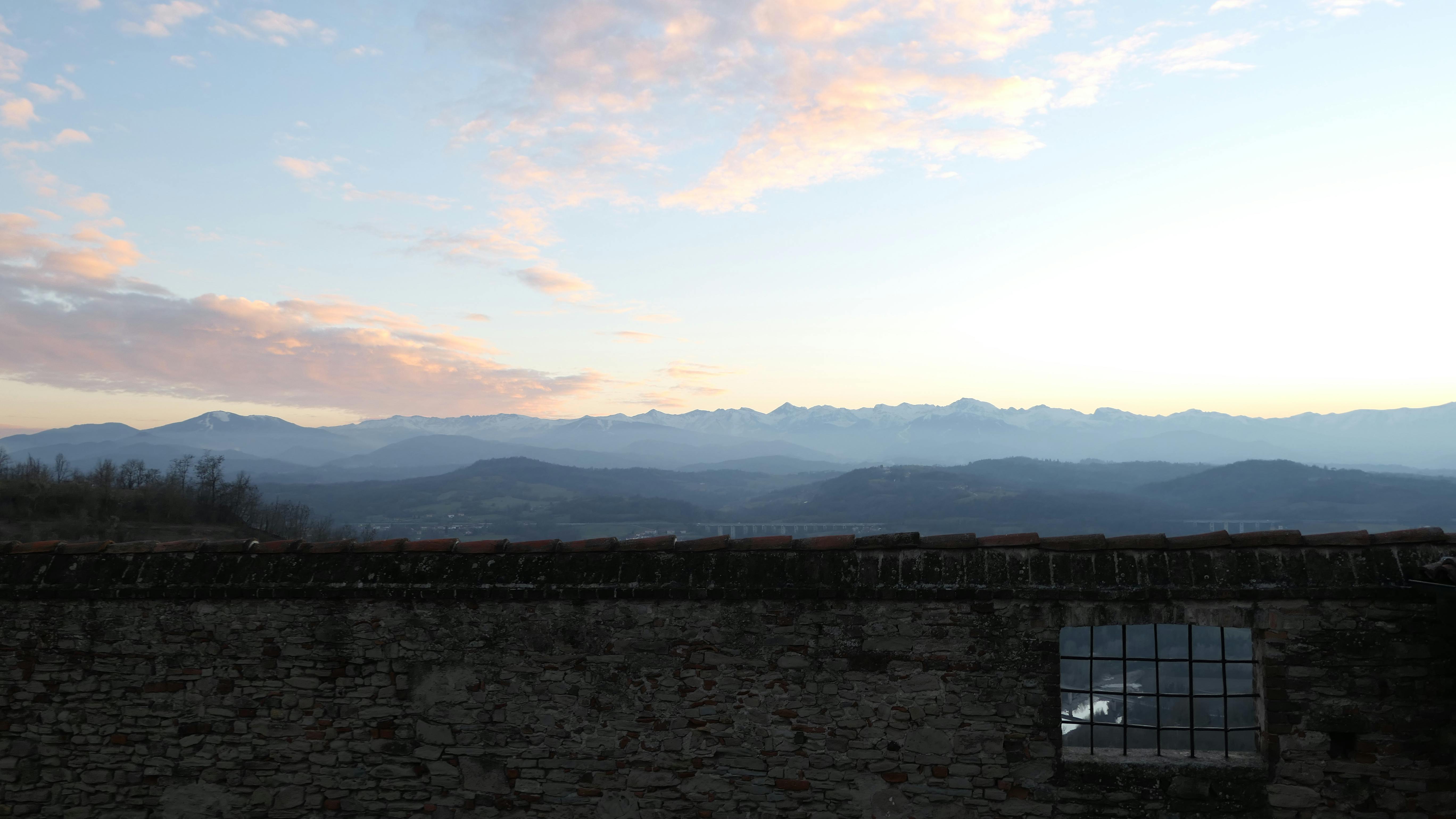 A platter of golden-brown fruity sausage rolls.