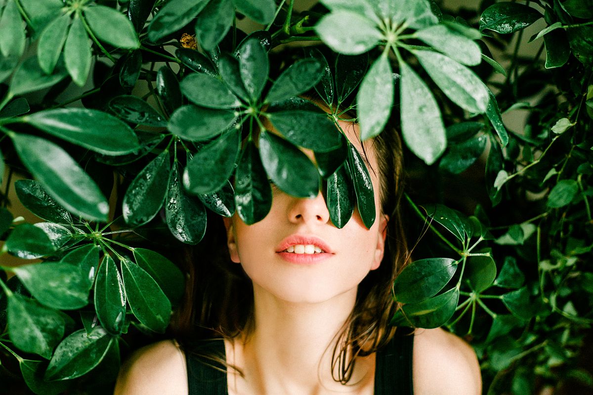 Climate control, on-demand food, infinite entertainment — the voluntary discomfort the Stoics prescribed has been engineered out.