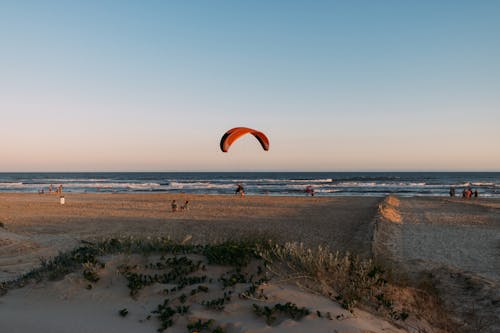 Foto profissional grátis de areia, costa, homem