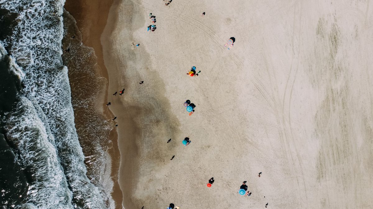 Best Birthday Freebies in Virginia Beach, VA: 2026 Local Guide