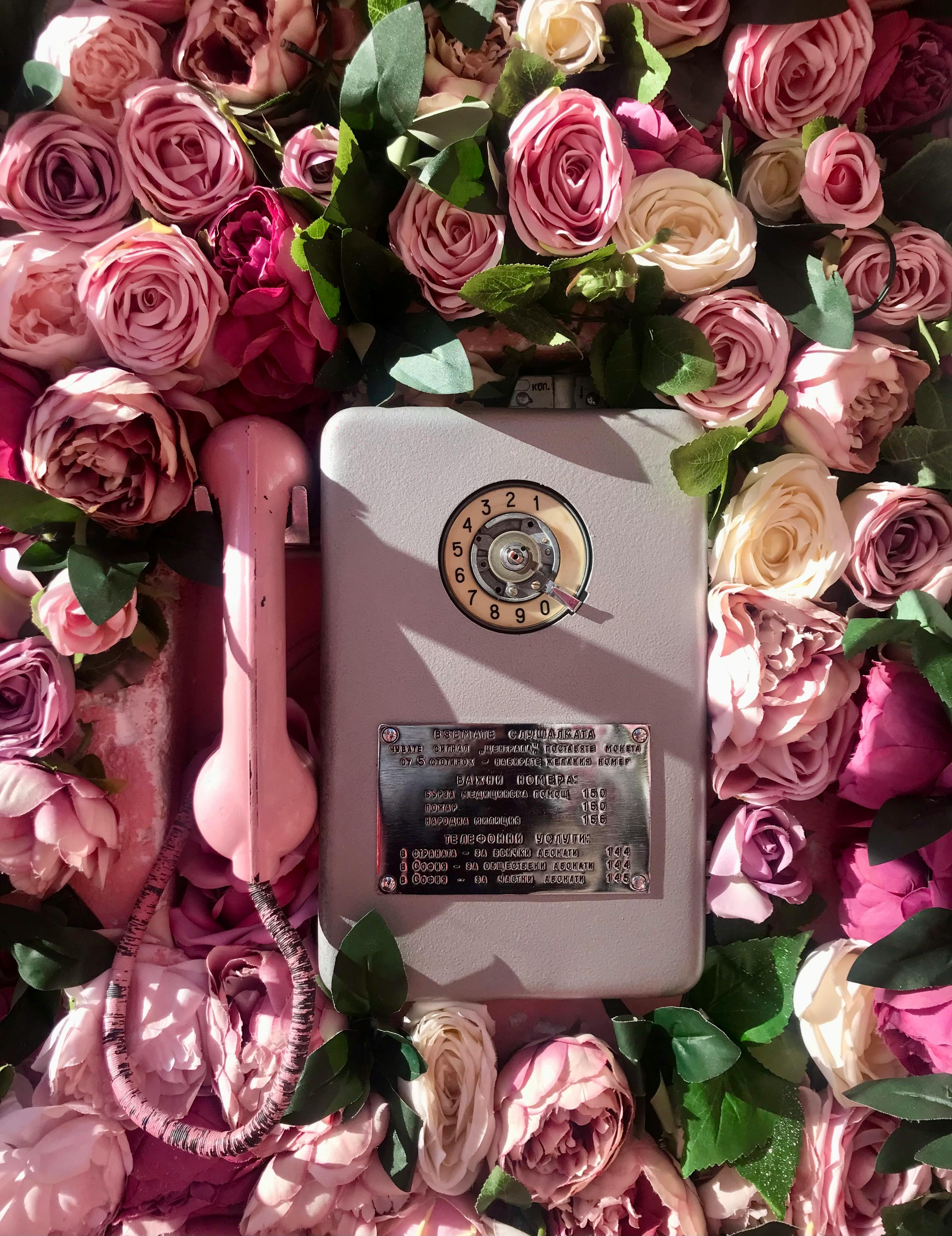 An Old Telephone with Pink Roses · Free Stock Photo