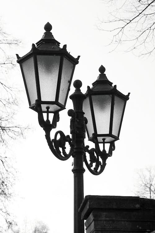 Grayscale Photo of Street Lamp