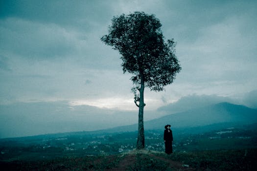 A lone tree and figure in a misty landscape create a moody and atmospheric scene.