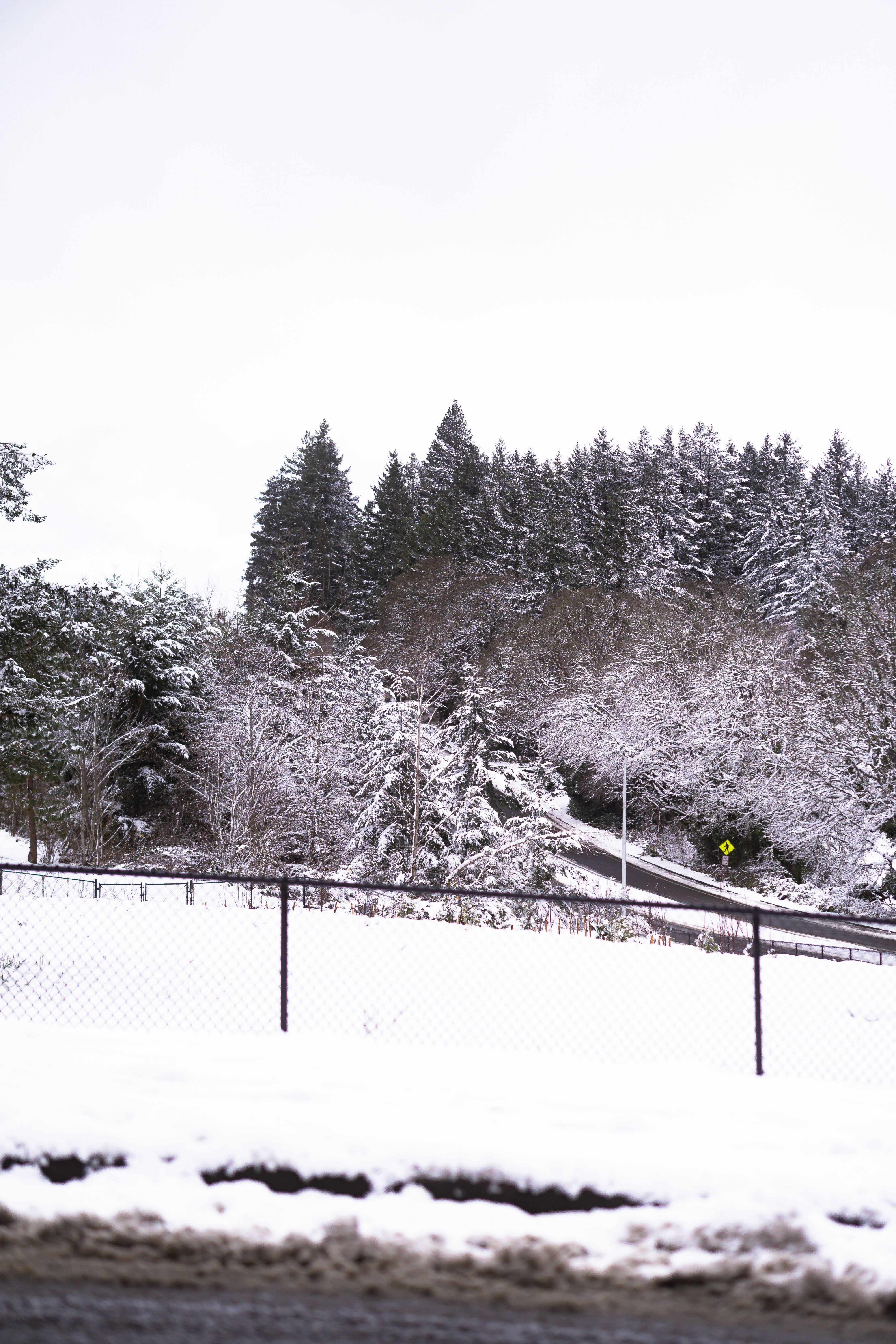 Winter In Poland Photos Download Free Winter In Poland Stock Photos Hd Images