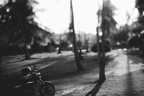 Grayscale Photo of Bicycle on Road