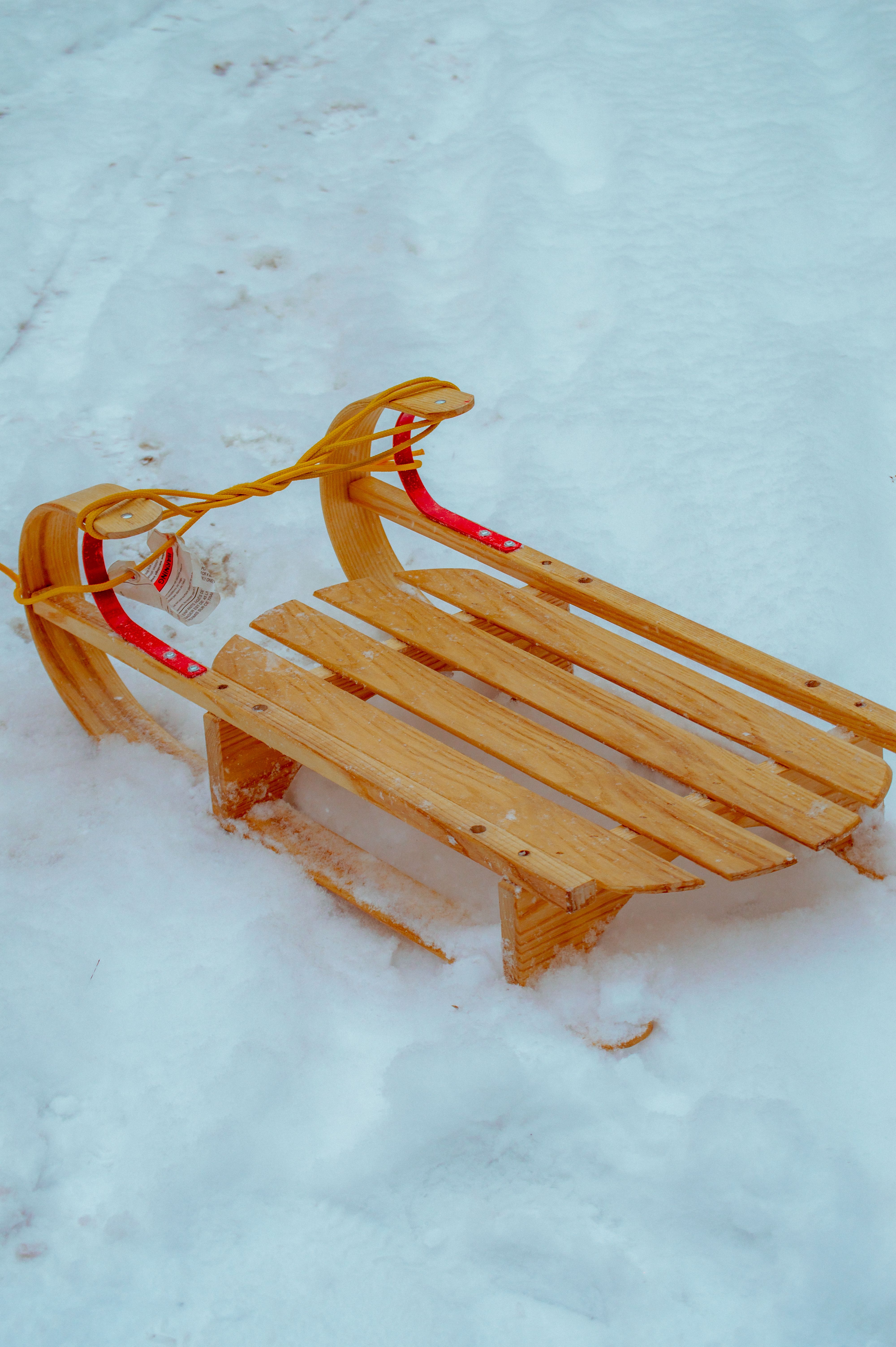 Huskies Leading Sled in Snow · Free Stock Photo