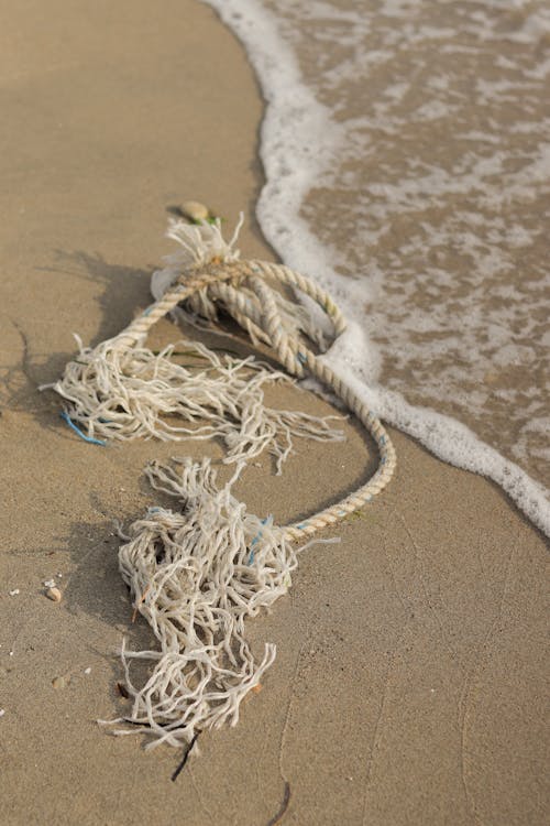 Rope Washed Up on Seashore