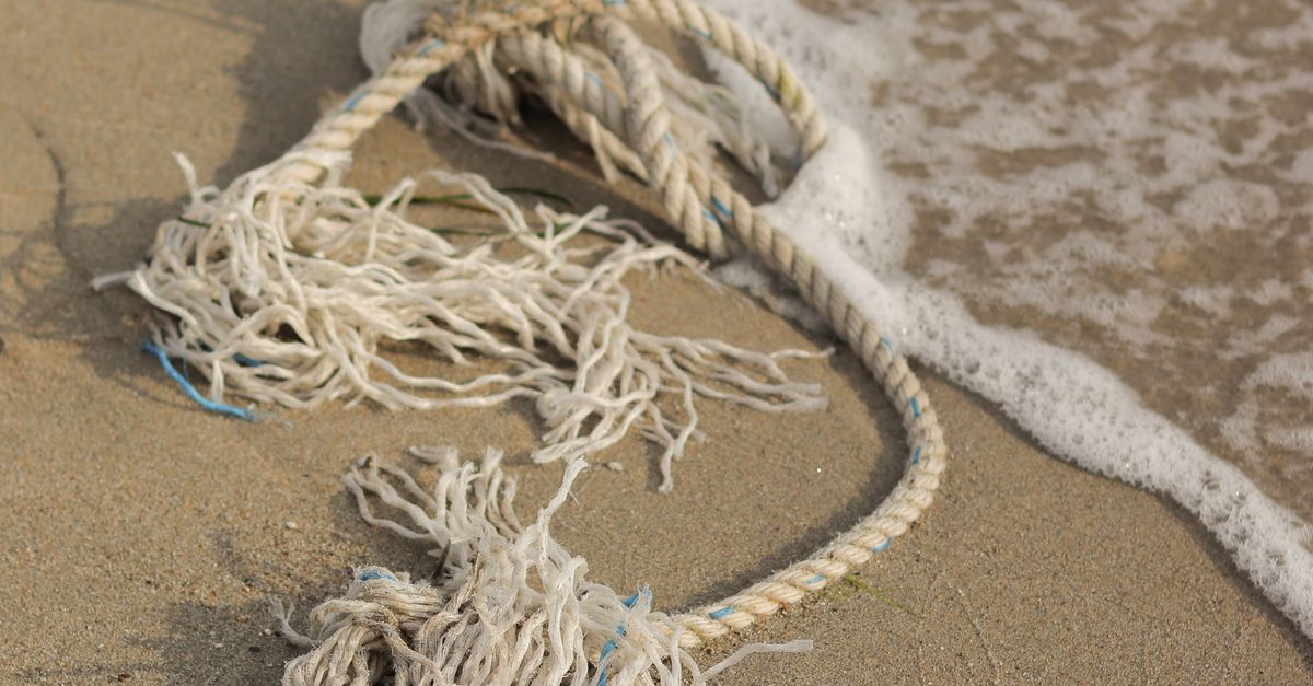 Washed Up Rope Rope Washed Up on Seashore · Free Stock Photo