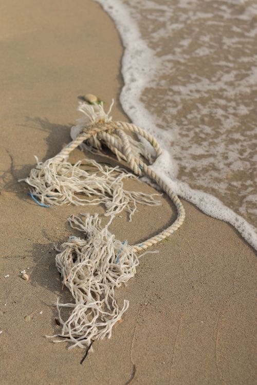 Washed Up Rope Rope Washed Up on Seashore · Free Stock Photo