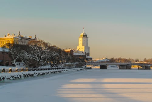 Безкоштовне стокове фото на тему «дерева, заморожений, зима»