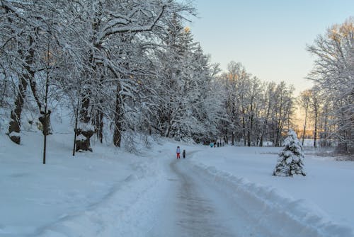 People Walking on Snow Covered Path