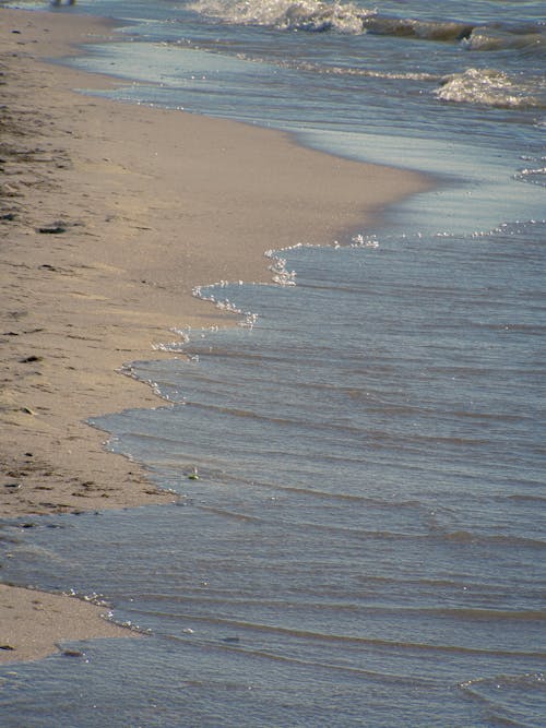Photograph of a Beach with Water and Brown Sand