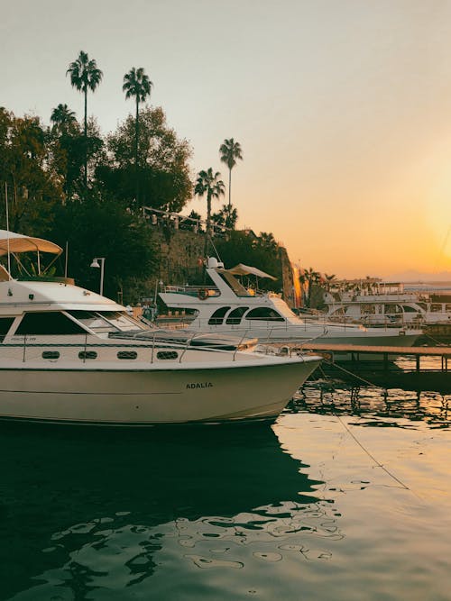 Free Yachts Moored in the Harbor with Palm Trees in the Distance  Stock Photo