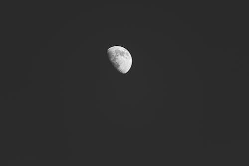 Grayscale Photo of the Moon in the Night Sky 