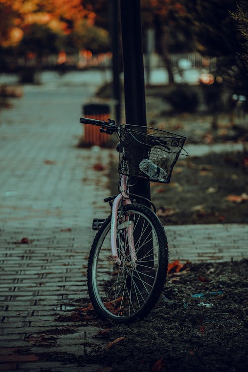 Free Close-up of a Bicycle Stock Photo