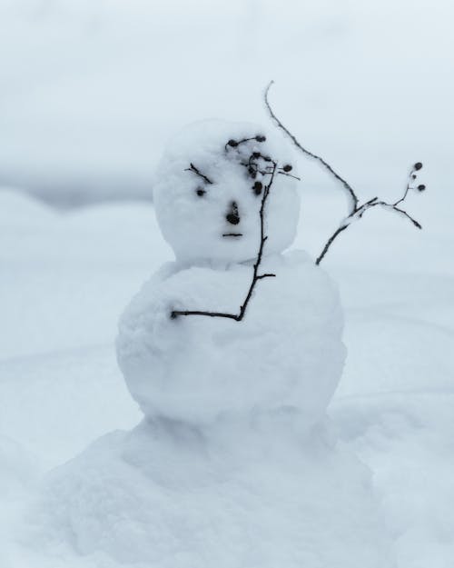 Gratuit Photos gratuites de bonhomme de neige, espace extérieur, fermer Photos
