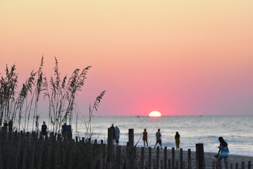 Gratis stockfoto met dageraad, kust, myrtle strand Stockfoto