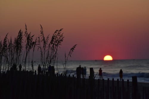Foto stok gratis gelombang, matahari terbit, pantai